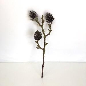 Mossed Pinecone Spray 37cm