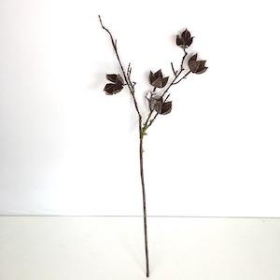 Mossed Cotton Husk 58cm