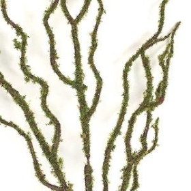 Mossed Willow Spray 87cm