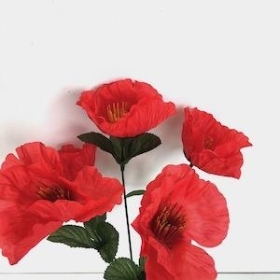 Red Wild Poppy Bush 32cm