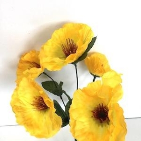 Yellow Wild Poppy Bush 32cm