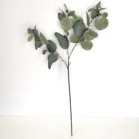 Green Populus Eucalyptus Spray 79cm