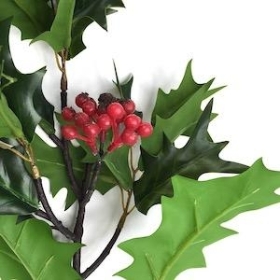 Green Holly Branch 115cm