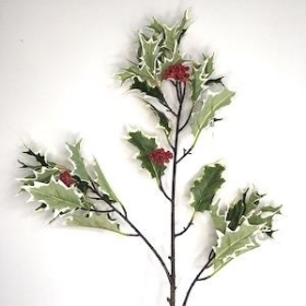 Variegated Holly Branch 115cm