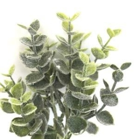 Green Frosted Eucalyptus Pick 22cm