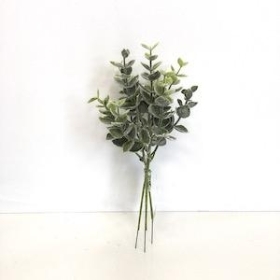 Green Frosted Eucalyptus Pick 22cm