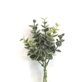 Green Frosted Eucalyptus Pick 22cm