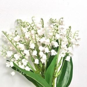 Lily Of The Valley Bundle 28cm