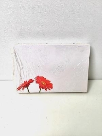 Small Florist Cards Red Gerbera