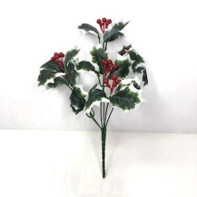 Variegated Holly Berry Bush 28cm