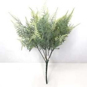 Green Frosted Asparagus Fern Bush 32cm