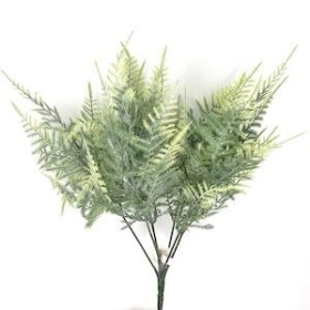 Green Frosted Asparagus Fern Bush 32cm