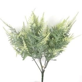 Frosted Asparagus Fern Bush 32cm