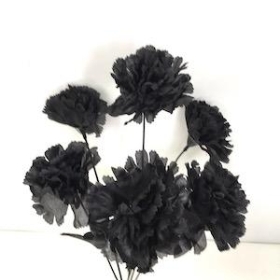 Black Carnation Bush 36cm