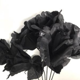 Black Rose Bush 36cm