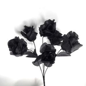 Black Rose Bush 36cm