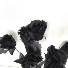 Black Rosebud Bush 36cm