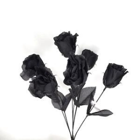 Black Rosebud Bush 36cm