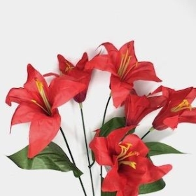 Red Lily Bush 36cm