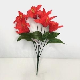 Red Lily Bush 36cm