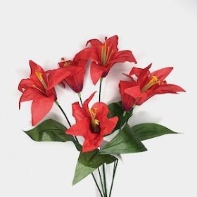 Red Lily Bush 36cm