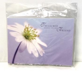 Friend White Daisy Florist Cards x 6