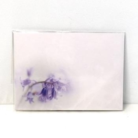 Florist Cards Plain Bluebell x 6