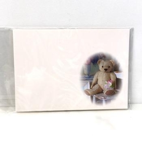 Florist Cards Plain Teddy x 6