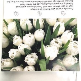 White Tulips Folding Card x 25