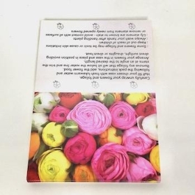 Mixed Ranunculus Folding Card x 25