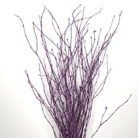 Metallic Purple Painted Birch