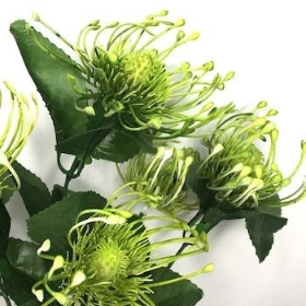 Green Chrysanthemum Bush 37cm