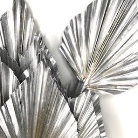 Dried Silver Palm Spear 50cm x 10