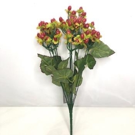 Red Hypericum Bush 42cm