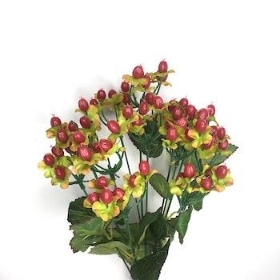 Red Hypericum Bush 42cm