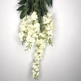 Ivory Wisteria Bush 54cm