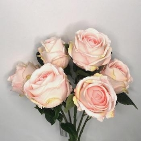 Cream Open Rose Bush 38cm