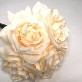 Light Peach Rose Bundle 25cm