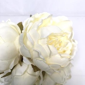 Cream Peony Bundle 25cm