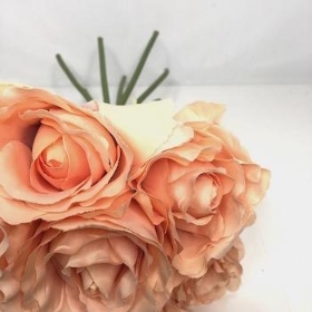 Peach Rose Bundle 26cm