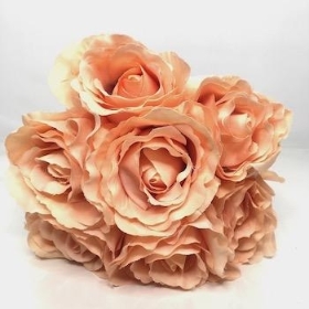 Peach Rose Bundle 26cm