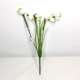 White Snowdrop Bush 31cm