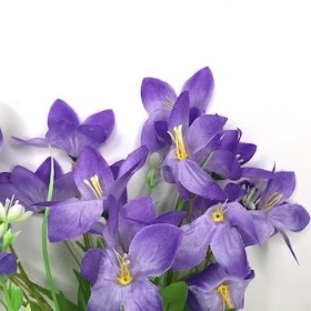 Purple Wild Lily Bush 38cm