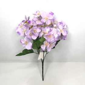 Lilac Hydrangea Bush 30cm