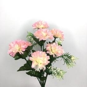 60 x Assorted Mini Mum Bush 28cm