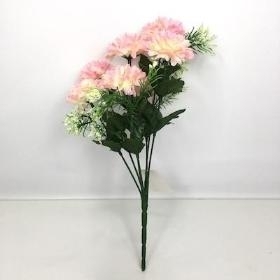 60 x Assorted Mini Mum Bush 28cm