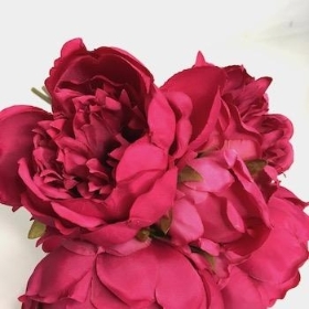 Hot Pink Peony Bundle 25cm