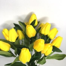 Yellow Tulip Bush 40cm