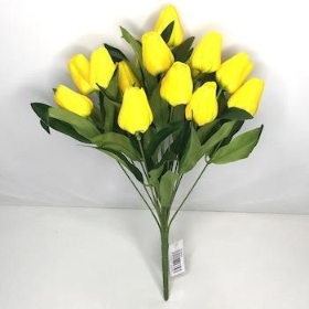 Yellow Tulip Bush 40cm