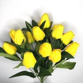 Yellow Tulip Bush 40cm